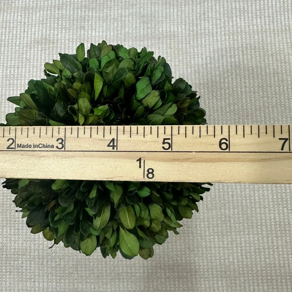 Preserved Boxwood Topiary 15in Ball in Black Ribbed Ceramic‎ Pot Striped Ribbon